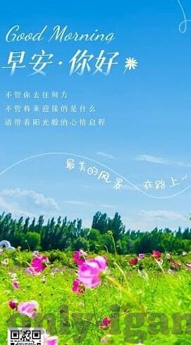 中国与冰岛足球比分-绿茵场上的跨越山海，中国与冰岛足球比分的背后故事