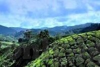 足球20043期比分-足球20043期比分，绿茵场上的风云变幻与激情碰撞
